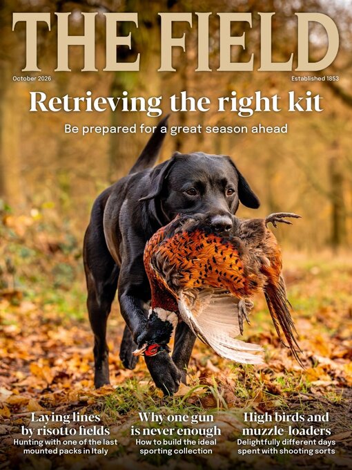Cover image for The Field